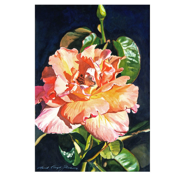 Trademark Fine Art David Lloyd Glover 'Royal Rose' Canvas Art, 16x24 DLG0195-C1624GG